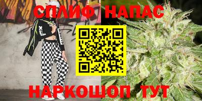 mdma Гай