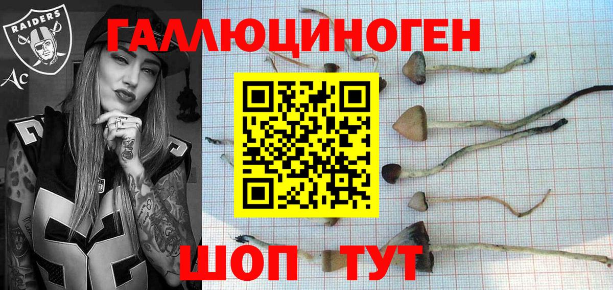 Галлюциногенные грибы ЛСД Мытищи