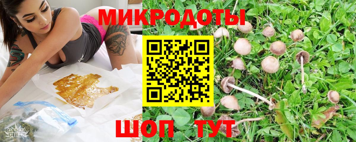 Мытищи  Псилоцибиновые грибы прущие грибы  как найти наркотики  Вход с VPN 